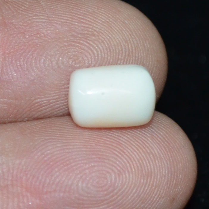 WC293 3 White Coral 3.82 Ct.