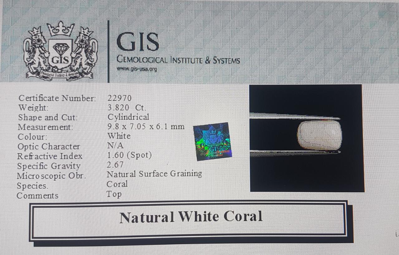 WC293 4 White Coral 3.82 Ct.