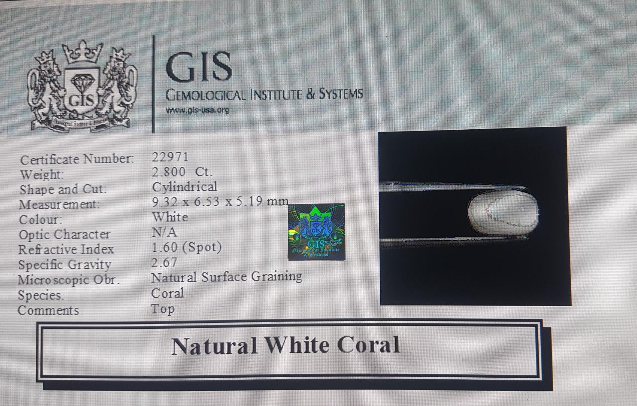WC294 4 White Coral 2.8 Ct.