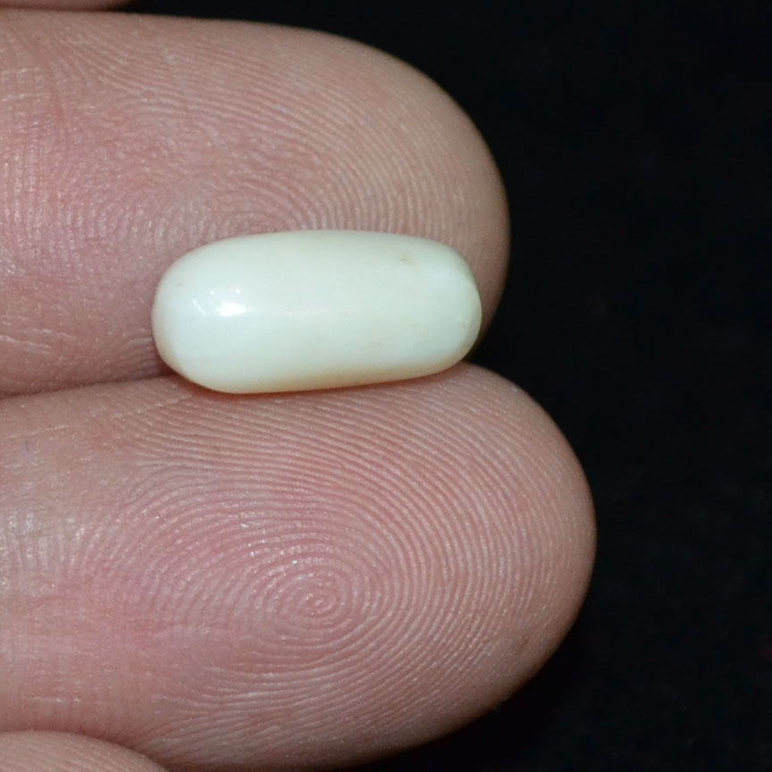 WC296 3 White Coral 3.8 Ct.