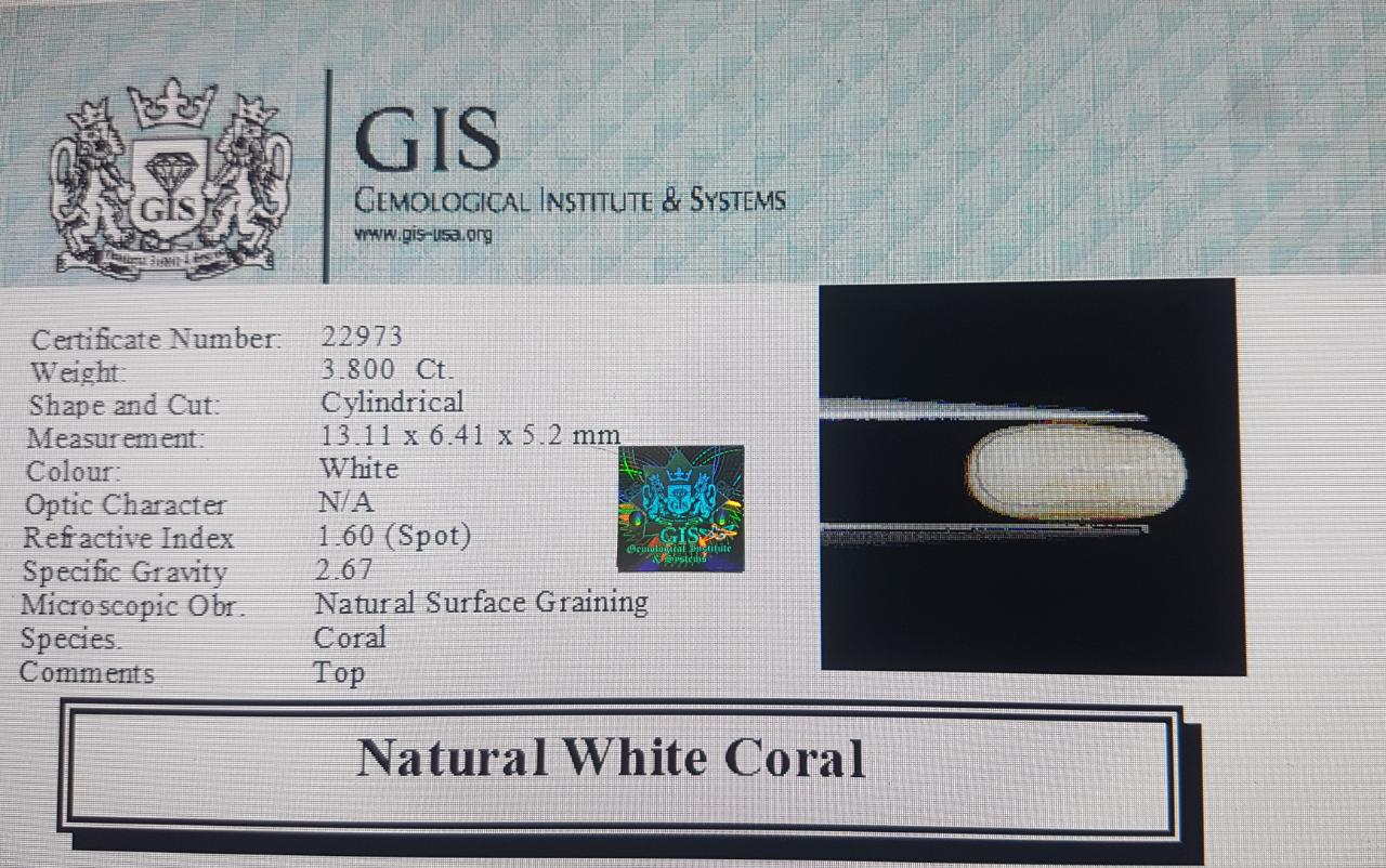 WC296 4 White Coral 3.8 Ct.