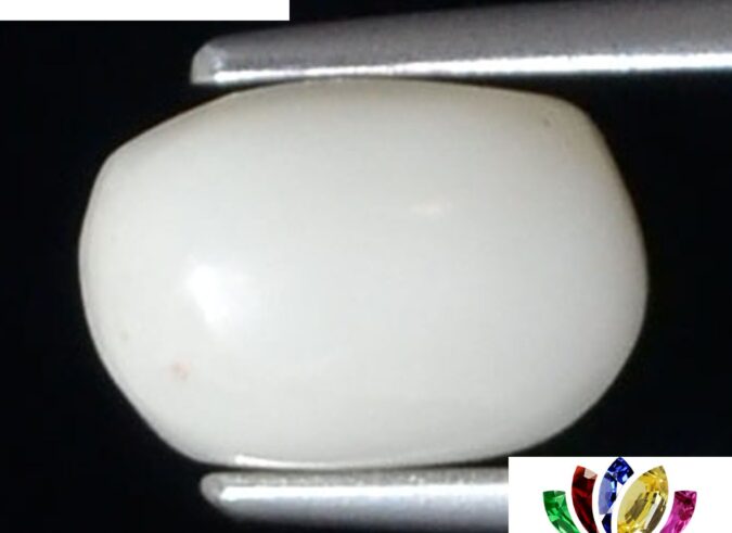 WC299 1 e1680693911178 White Coral 2.58 Ct.