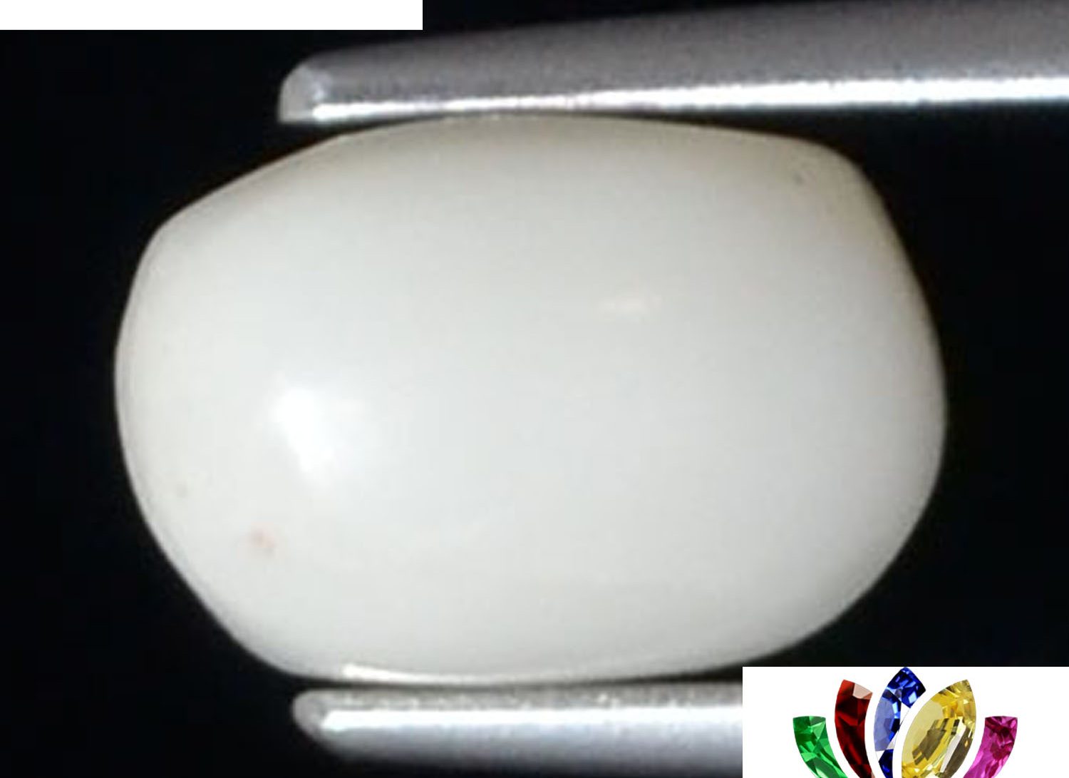 White Coral 2.58 Ct.