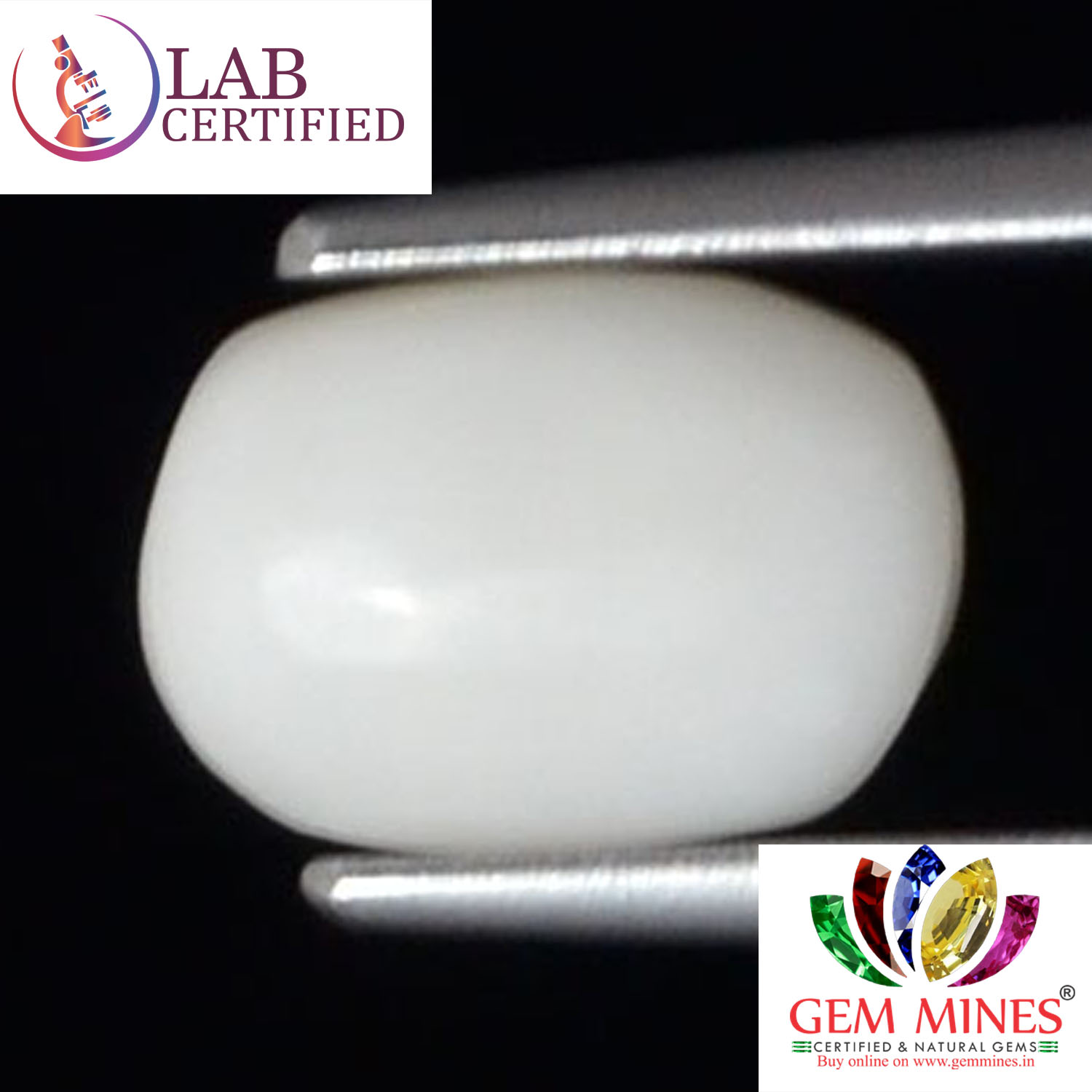 WC299 2 White Coral 2.58 Ct.