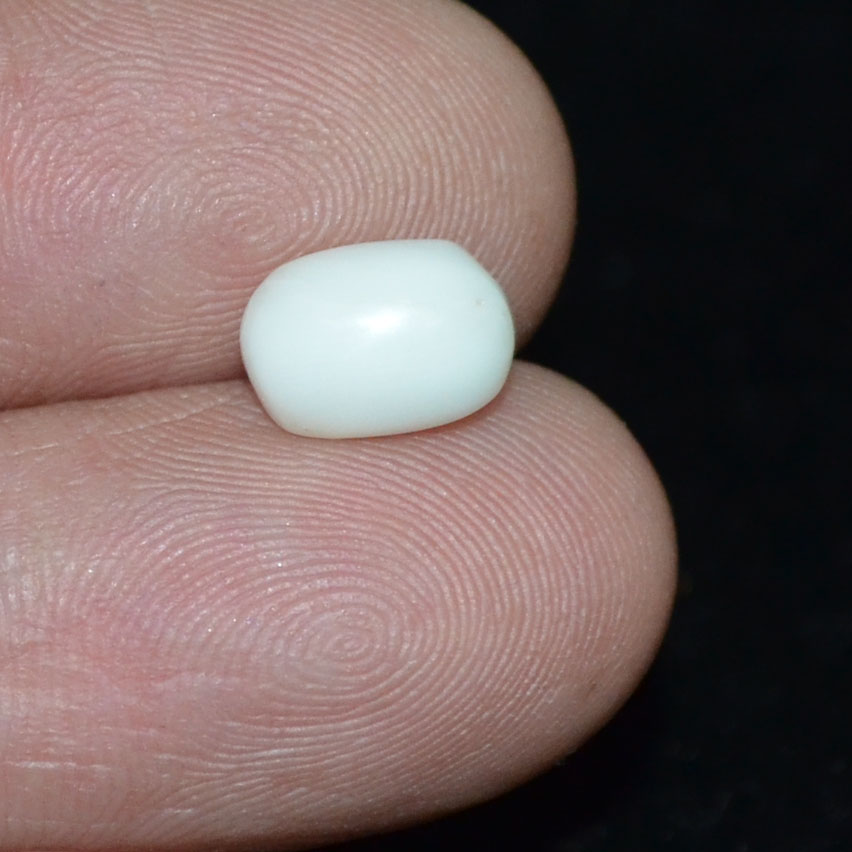 WC299 3 White Coral 2.58 Ct.