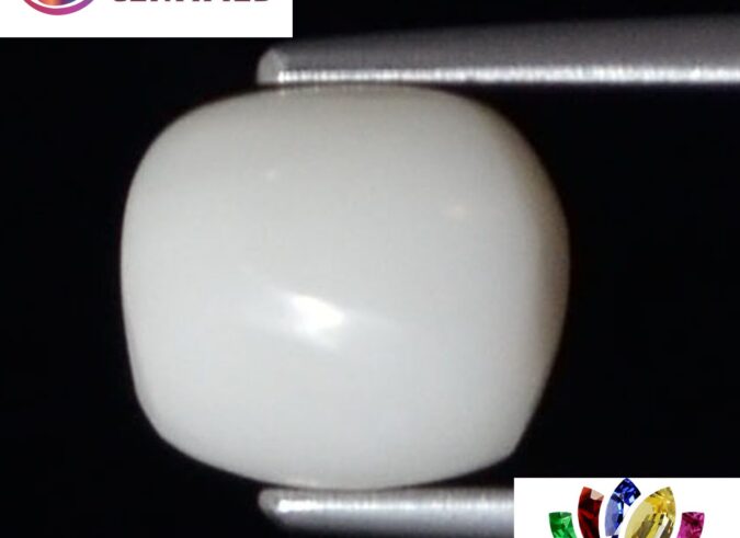 WC300 1 e1680693909791 White Coral 2.77 Ct.