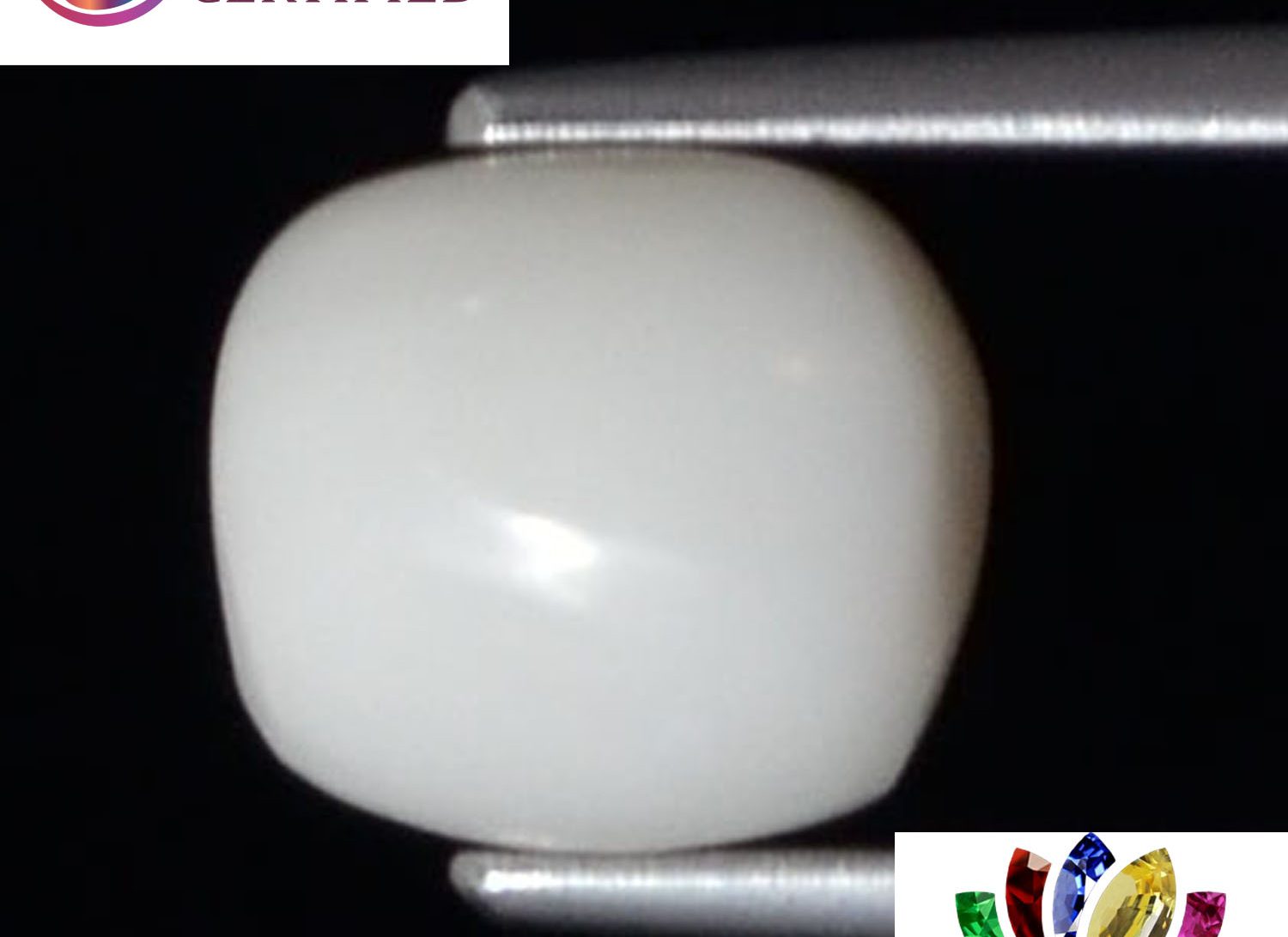 White Coral 2.77 Ct.