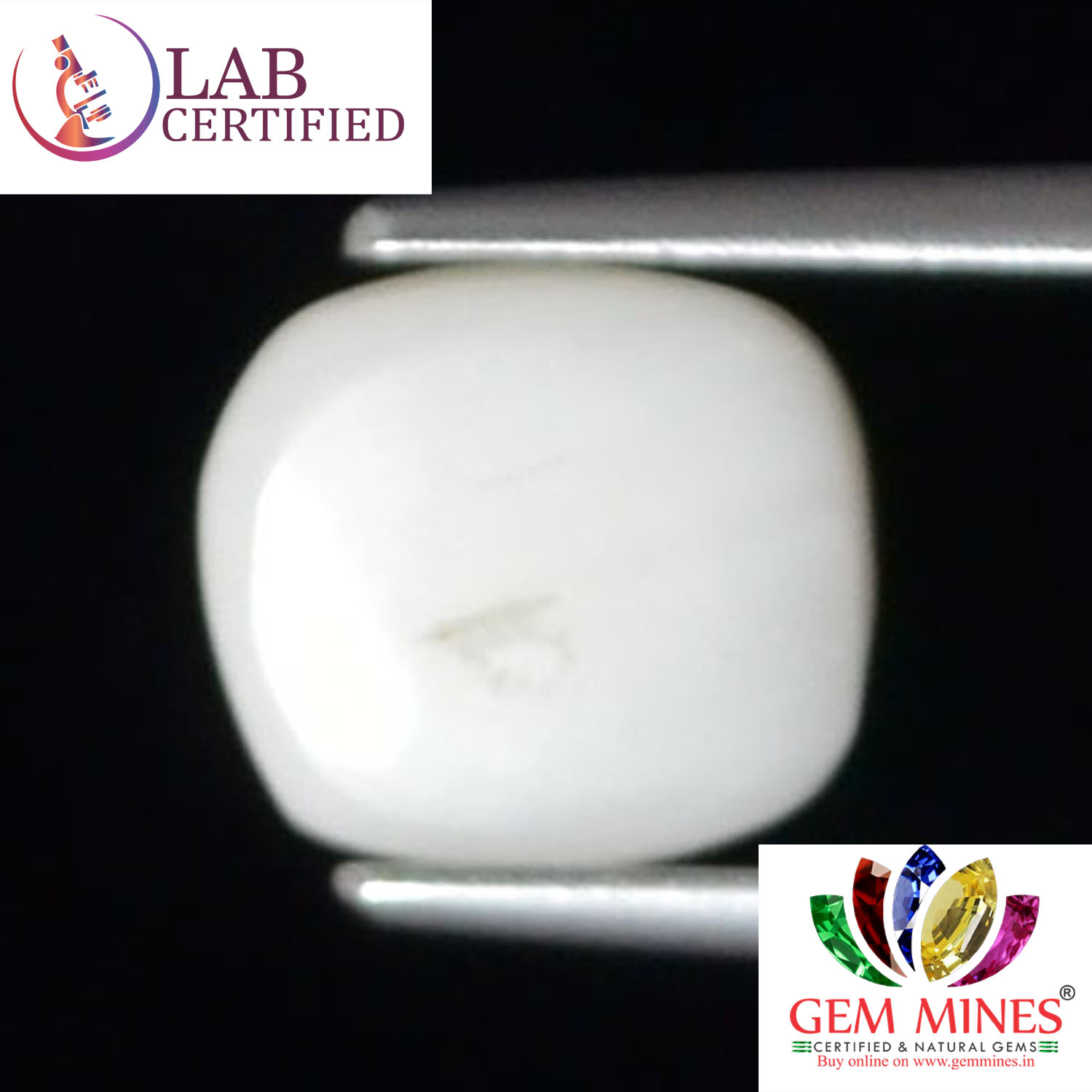 WC300 2 White Coral 2.77 Ct.