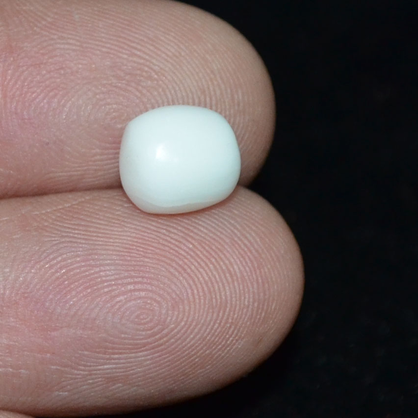 WC300 3 White Coral 2.77 Ct.