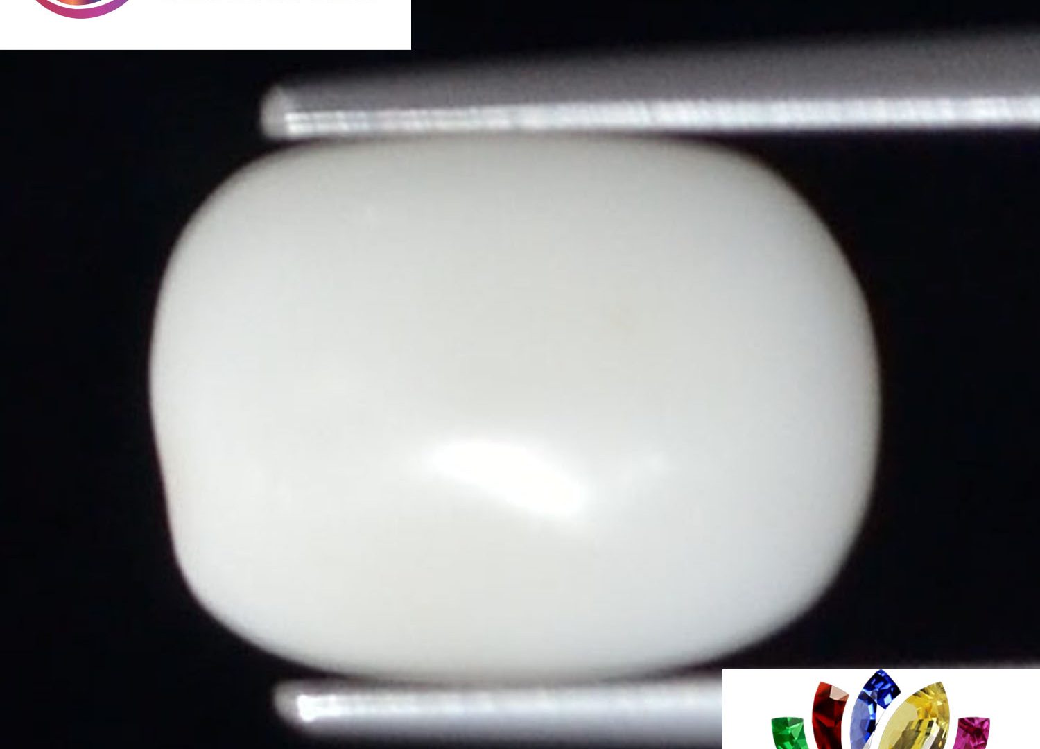White Coral 3.06 Ct.