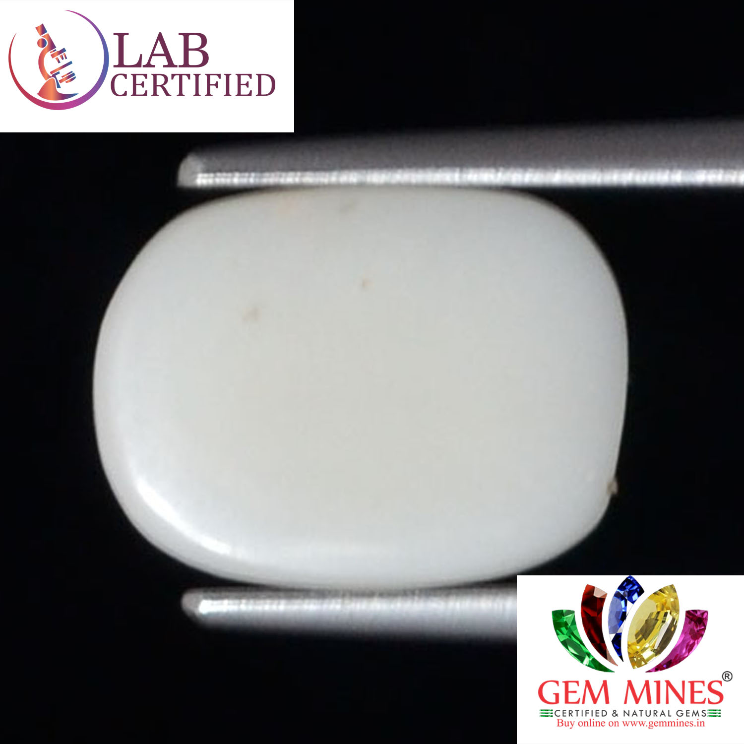 WC302 2 White Coral 3.06 Ct.