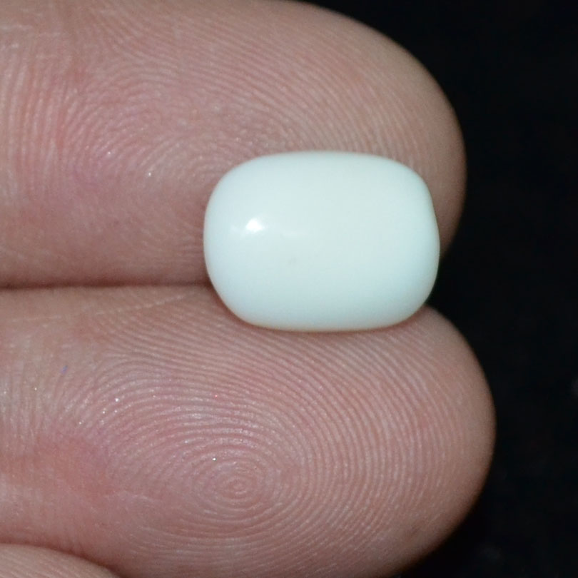 WC302 3 White Coral 3.06 Ct.