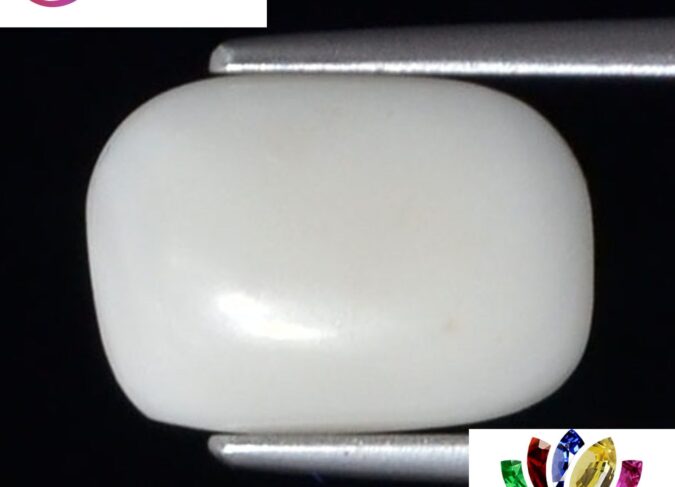 WC304 1 e1680694292314 White Coral 2.59 Ct.