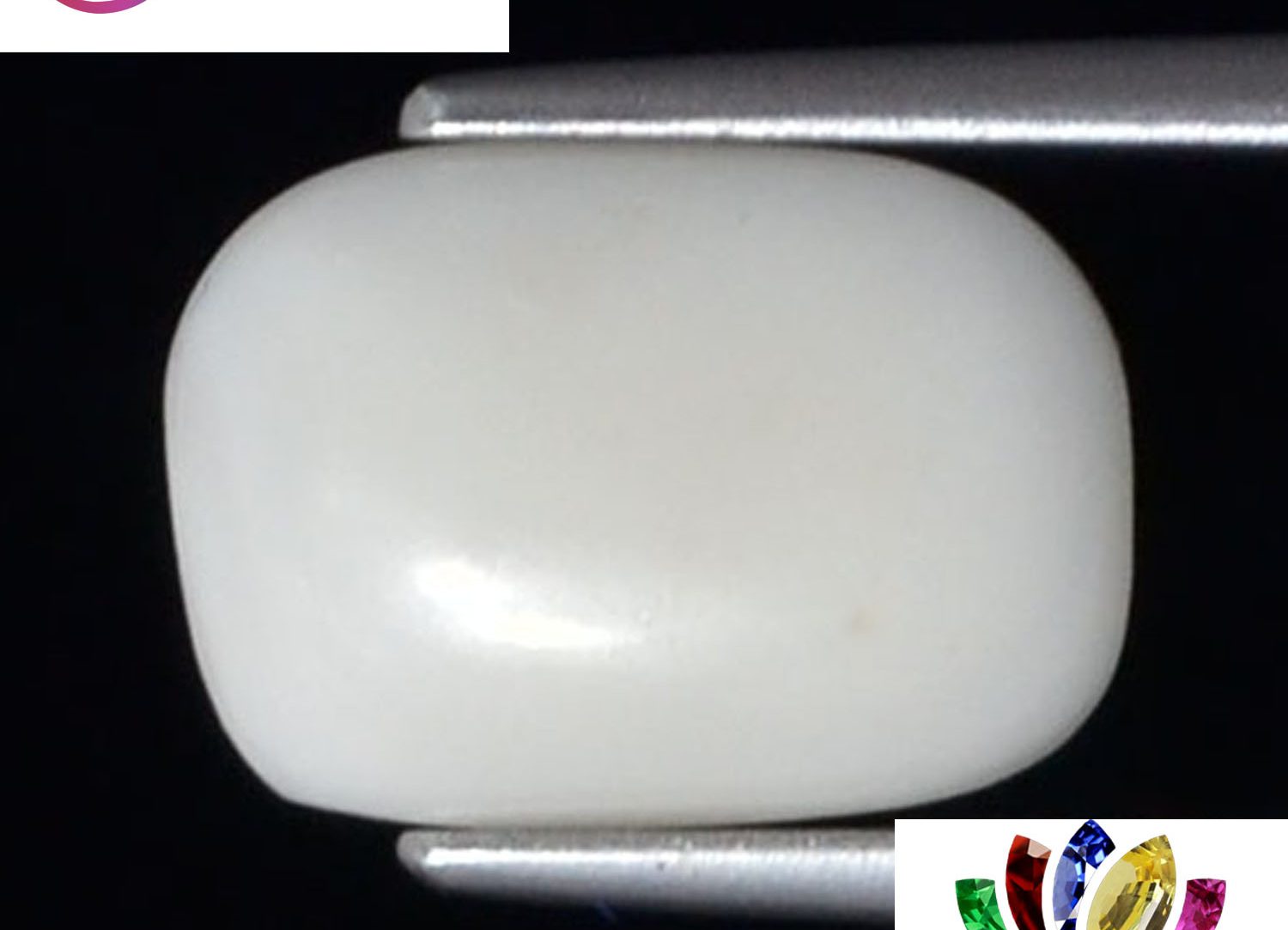White Coral 2.59 Ct.