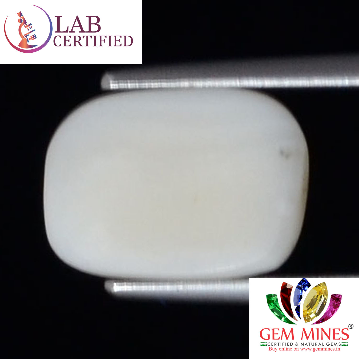 WC304 2 White Coral 2.59 Ct.