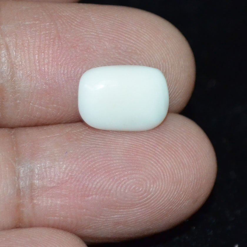 WC304 3 White Coral 2.59 Ct.