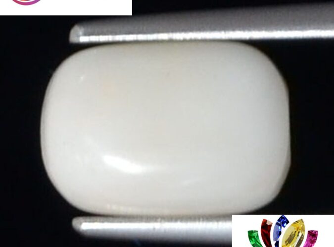 WC305 1 e1680694290221 White Coral 2.4 Ct.