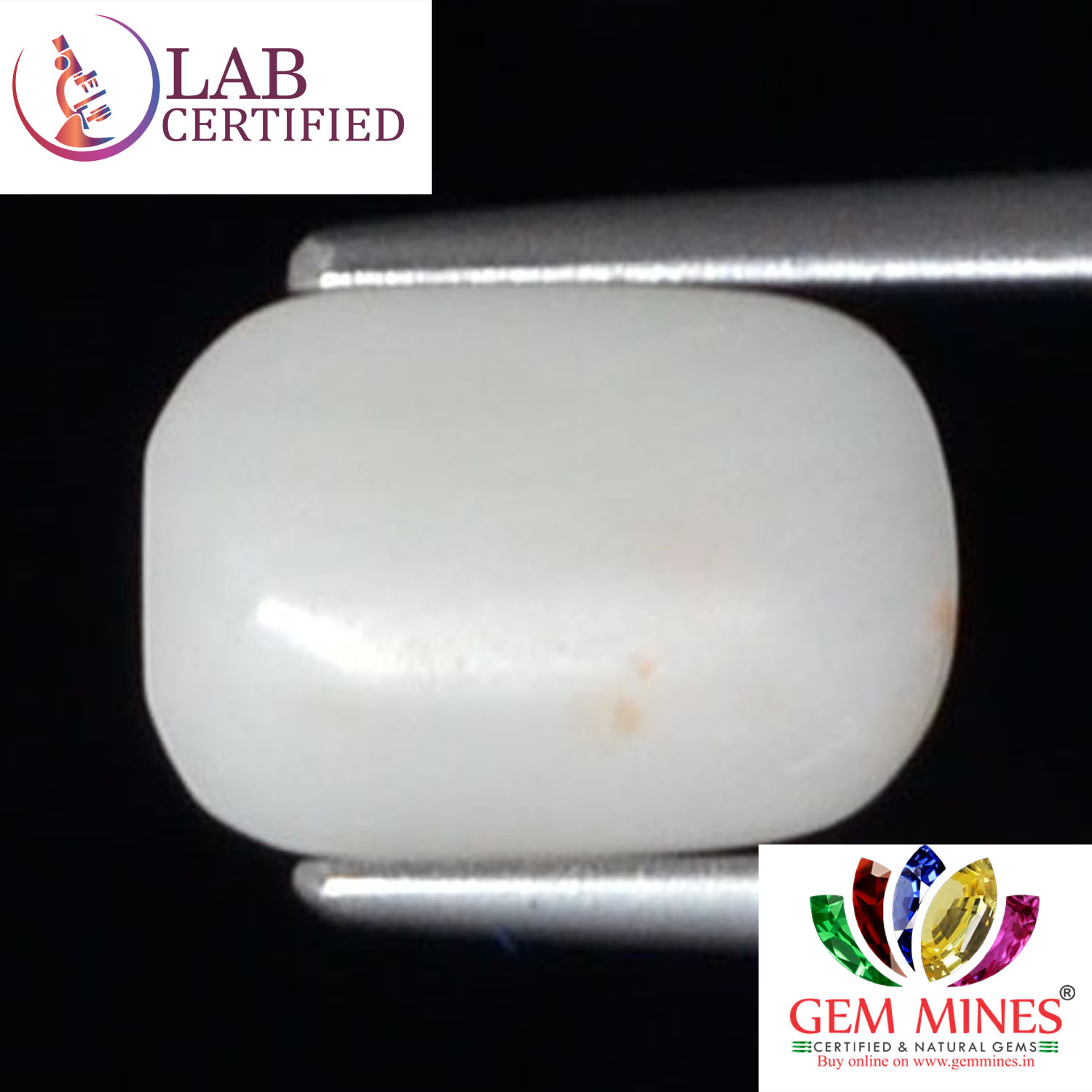 WC305 2 White Coral 2.4 Ct.