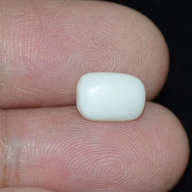 WC305 3 White Coral 2.4 Ct.