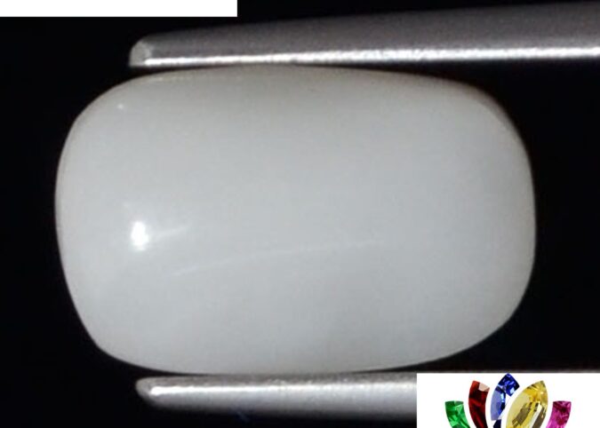 WC306 1 e1680694297581 White Coral 2.18 Ct.