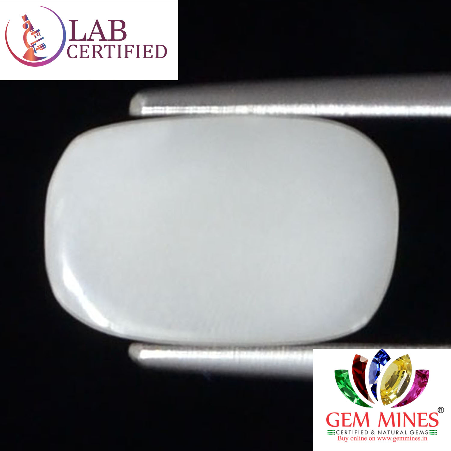 WC306 2 White Coral 2.18 Ct.