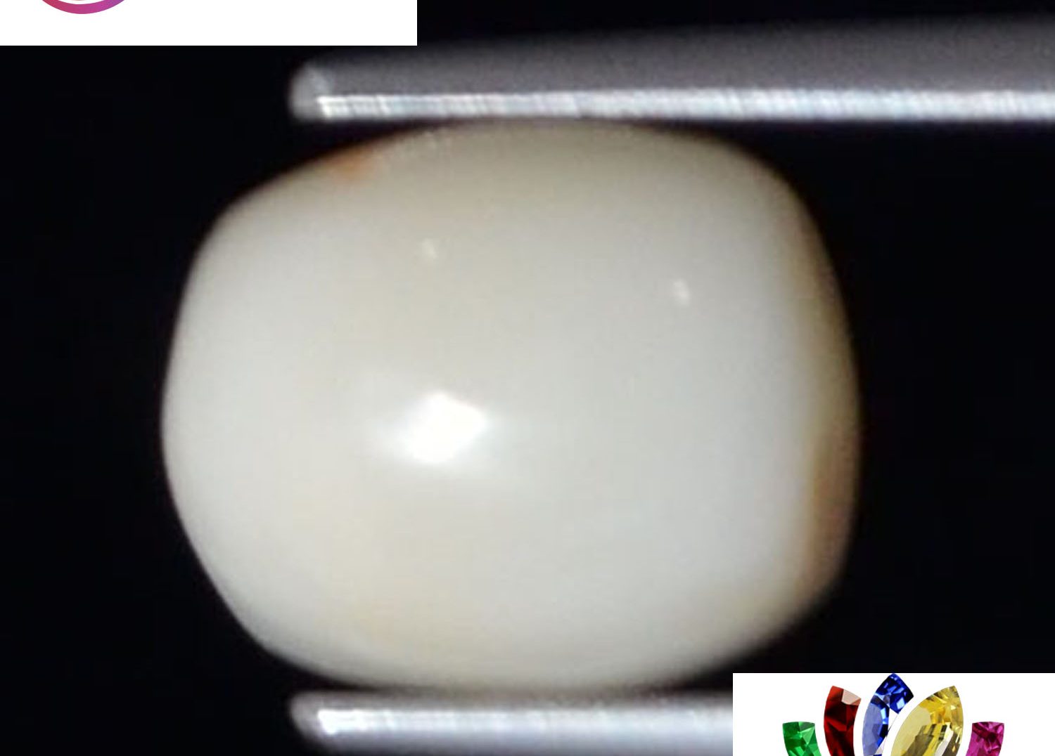White Coral 3.63 Ct.