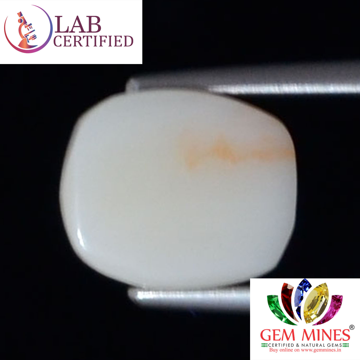 WC307 2 White Coral 3.63 Ct.