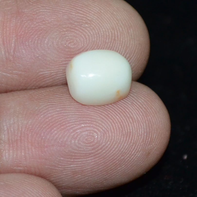 WC307 3 White Coral 3.63 Ct.