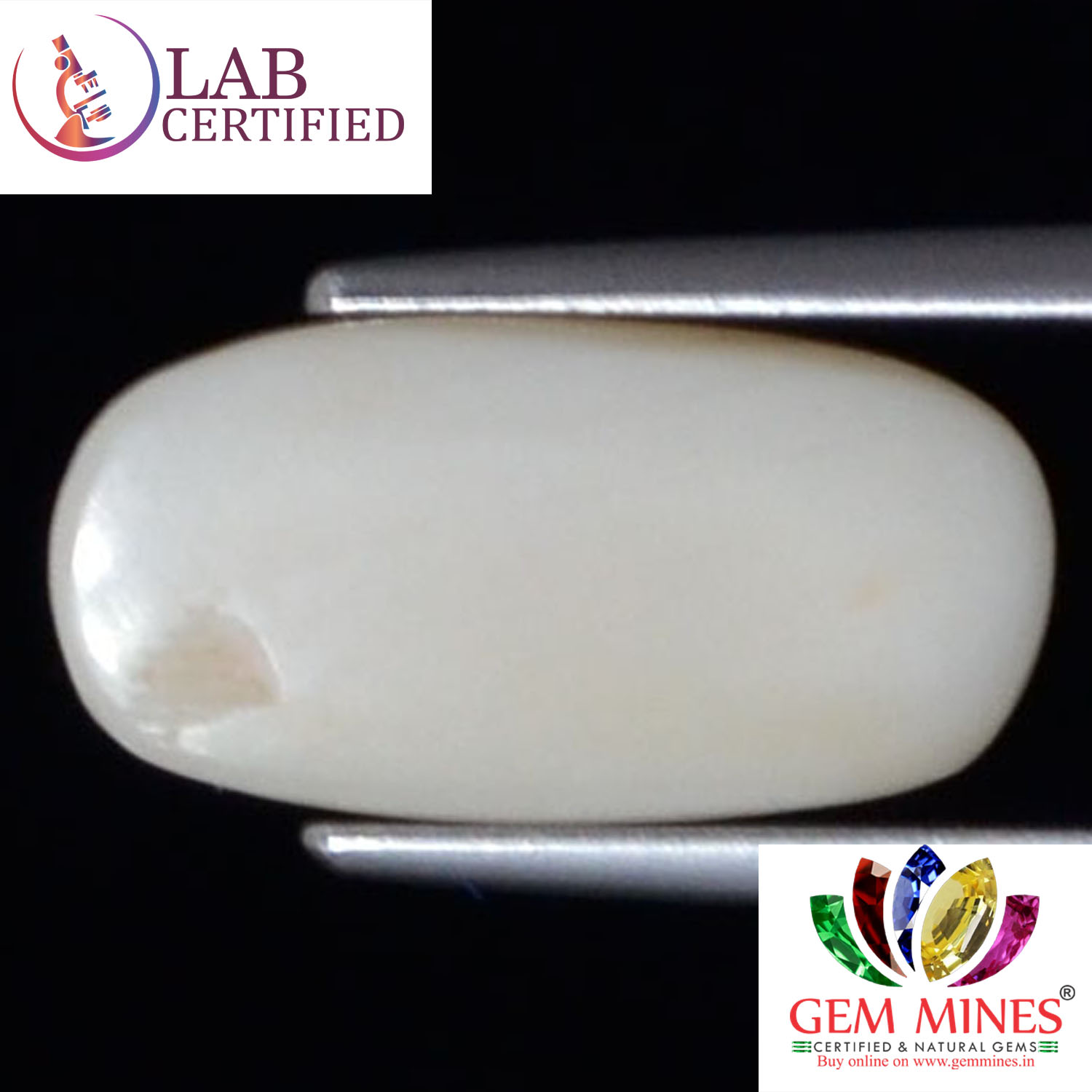 WC310 2 White Coral 4.24 Ct.