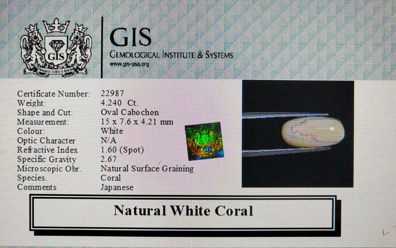 WC310 4 White Coral 4.24 Ct.