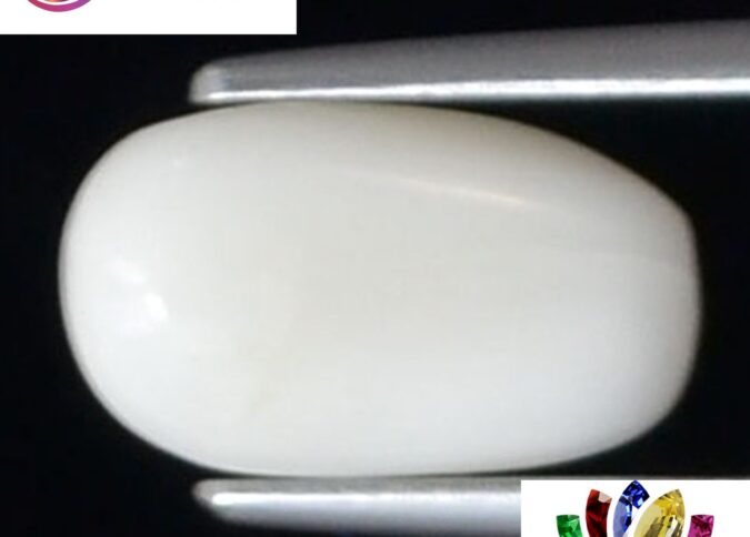 WC311 1 e1680694591164 White Coral 2.33 Ct.