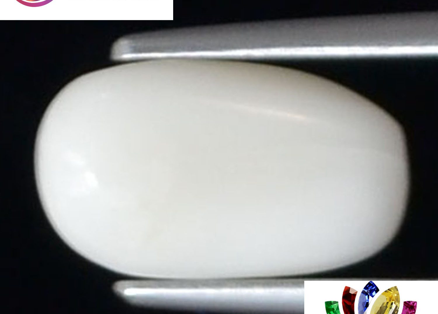 White Coral 2.33 Ct.