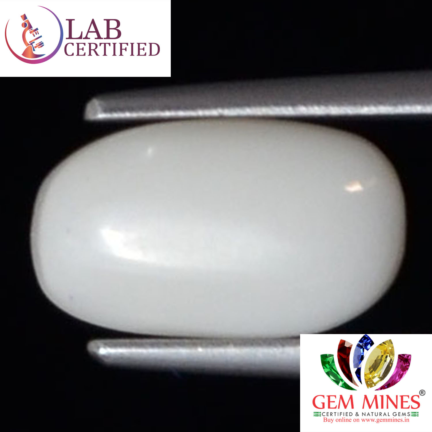 WC311 2 White Coral 2.33 Ct.