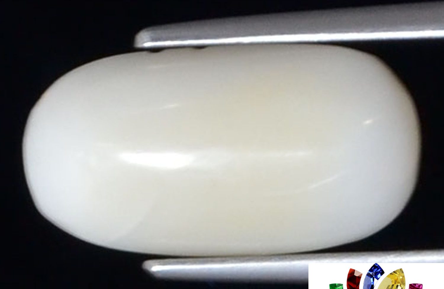 White Coral 4.33 Ct.