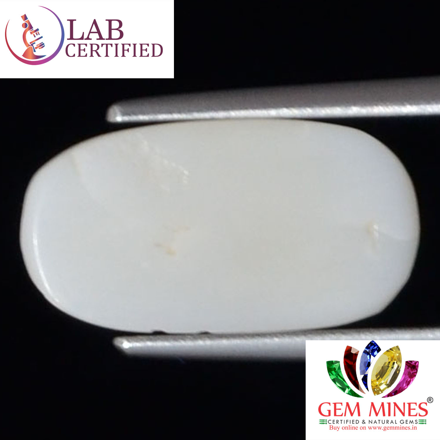 WC312 2 White Coral 4.33 Ct.