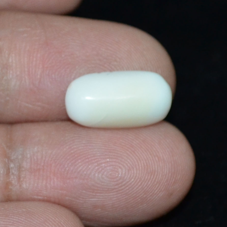 WC312 3 White Coral 4.33 Ct.