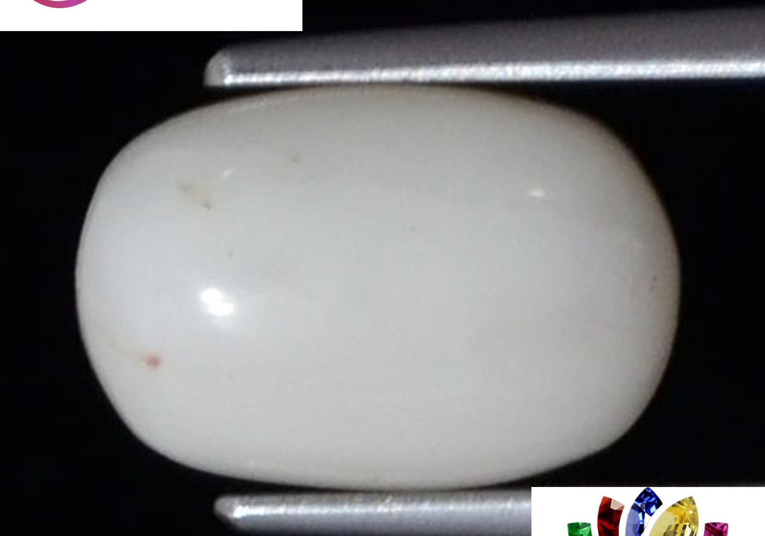White Coral 3.98 Ct.