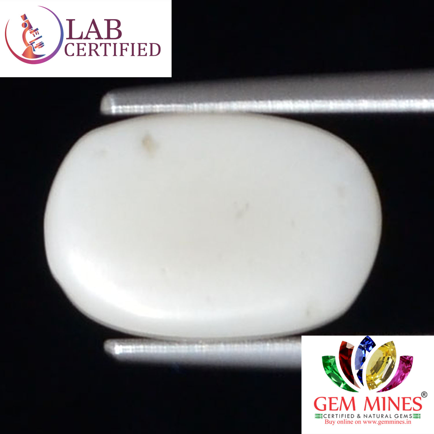 White Coral 3.98 Ct. 3 WC316 2 White Coral 3.98 Ct.