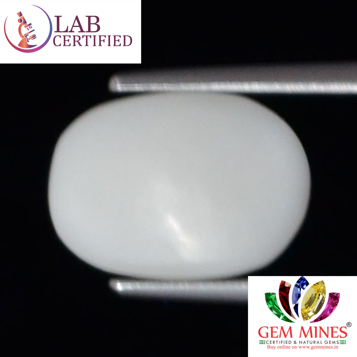White Coral 2.6 Ct. 3 WC317 2 White Coral 2.6 Ct.