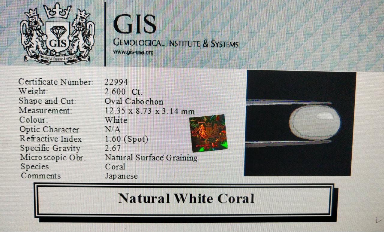 White Coral 2.6 Ct. 5 WC317 4 White Coral 2.6 Ct.