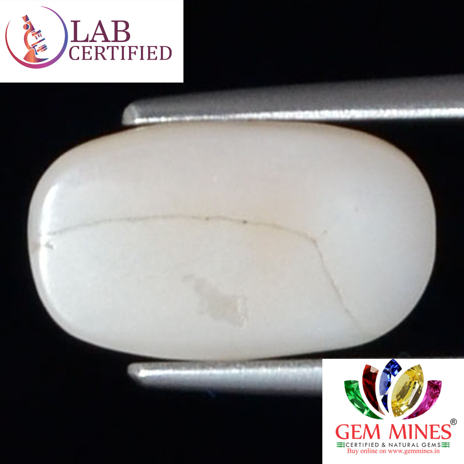 White Coral 3.75 Ct. 3 WC318 2 White Coral 3.75 Ct.