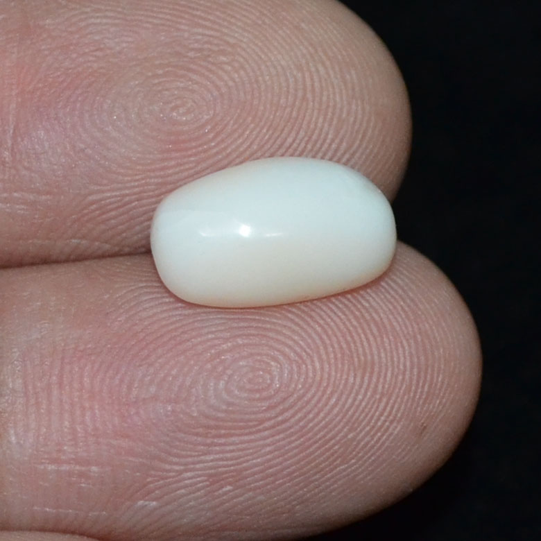 White Coral 3.75 Ct. 4 WC318 3 White Coral 3.75 Ct.