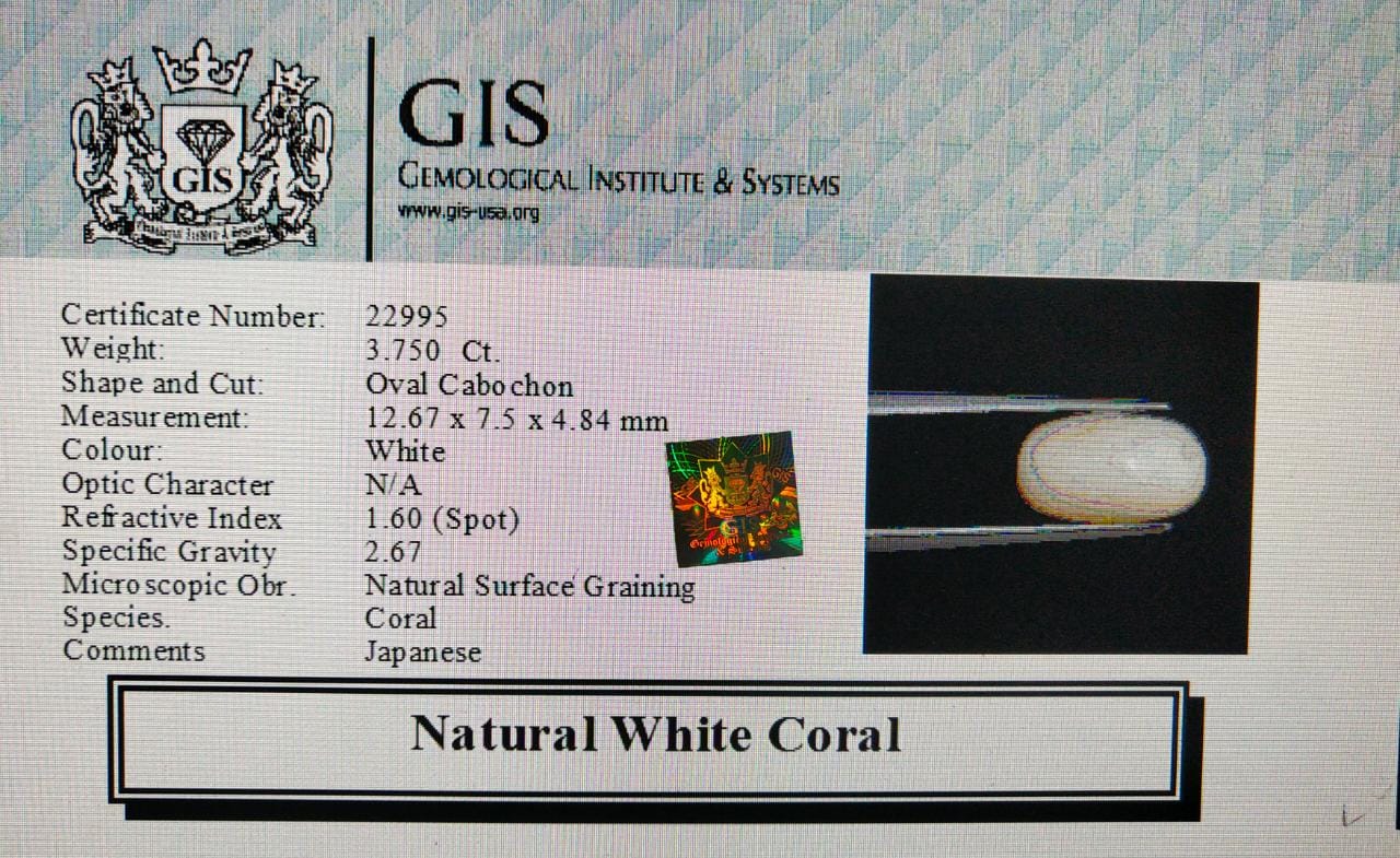 White Coral 3.75 Ct. 5 WC318 4 White Coral 3.75 Ct.