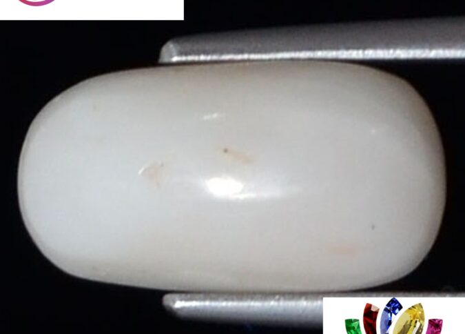 WC319 1 e1680694968463 White Coral 3.84 Ct.