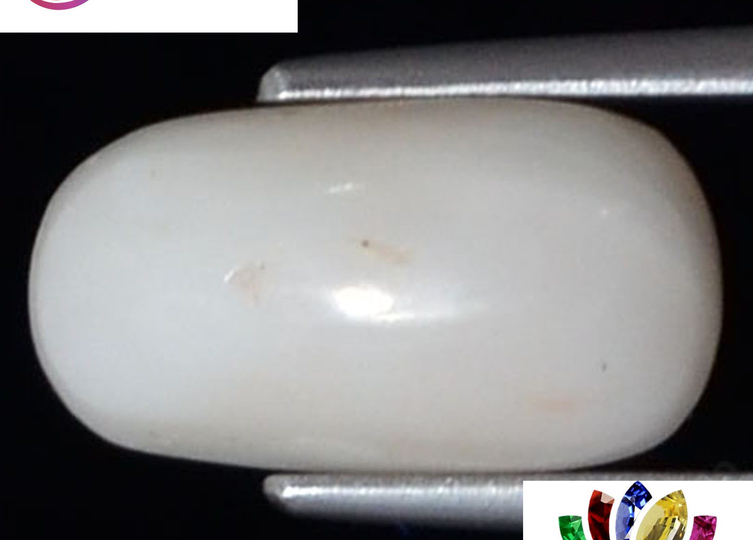 White Coral 3.84 Ct.