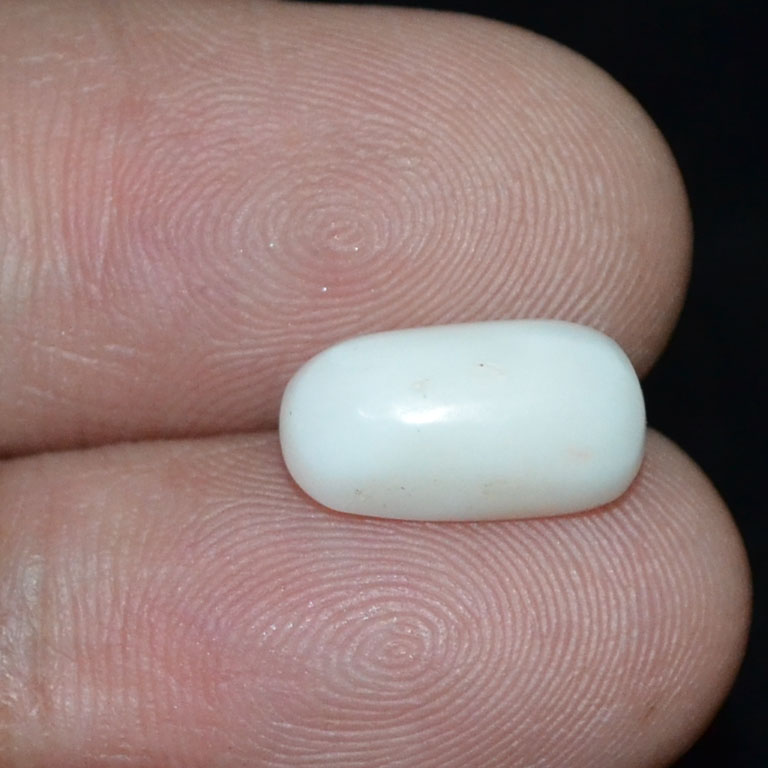 WC319 3 White Coral 3.84 Ct.