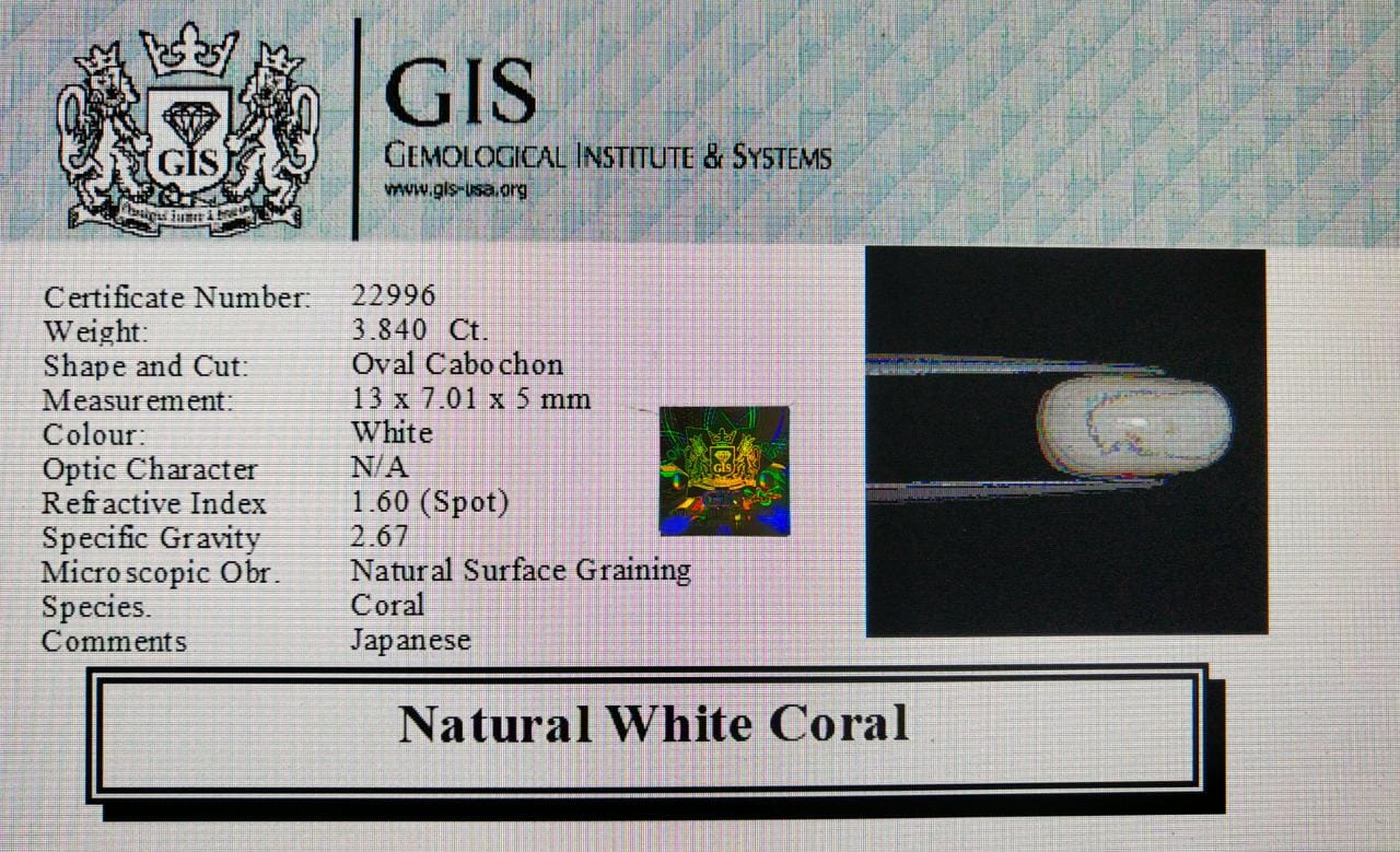WC319 4 White Coral 3.84 Ct.