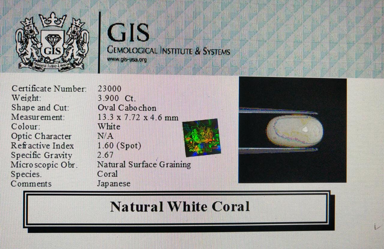 WC323 4 White Coral 3.9 Ct.