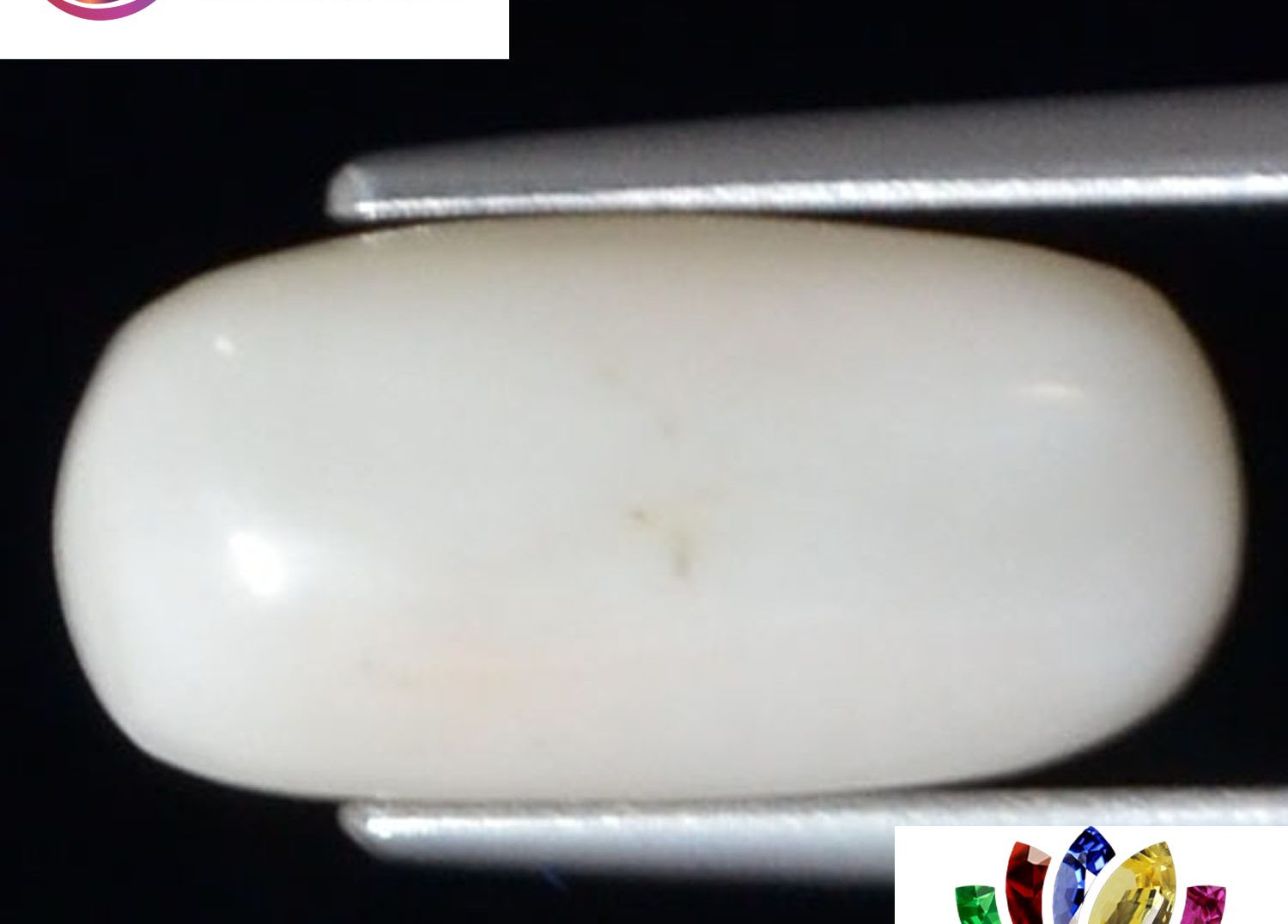 White Coral 4.75 Ct.