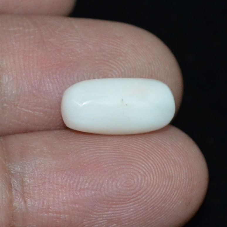 WC324 3 White Coral 4.75 Ct.